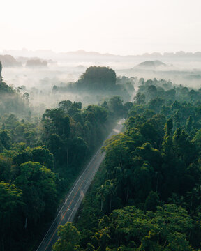 Drone View of Misty Forest Road and Limestone Peaks at Sunrise