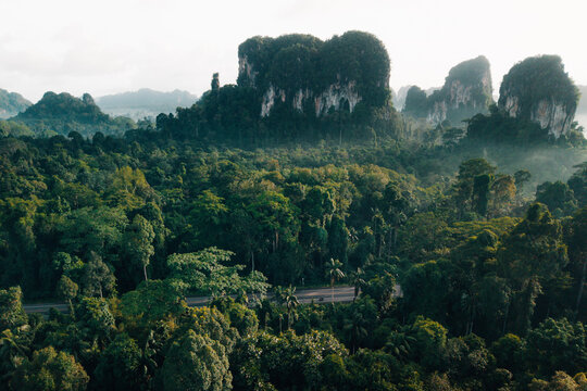Drone View of Misty Forest Road and Limestone Peaks at Sunrise