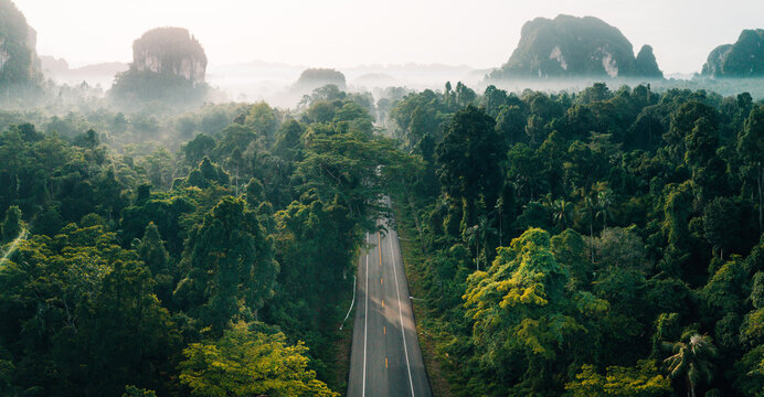 Scenic Straight Highway Through Dense Jungle and Misty Mountains
