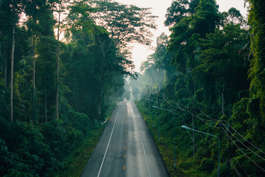 Scenic Straight Highway Through Dense Jungle and Misty Mountains
