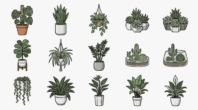 Elegant Collection of Diverse Indoor Plants in Stylish Pots and Hanging Planters with Minimalist Line Art