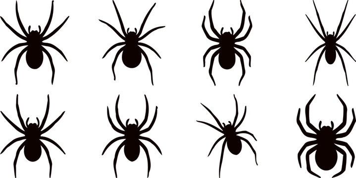 Spider Silhouette SVG Bundle Creepy Halloween Arachnid Clipart Collection Black Spider Vector Set Printable PNG EPS DXF For Cricut Sublimation Sticker
