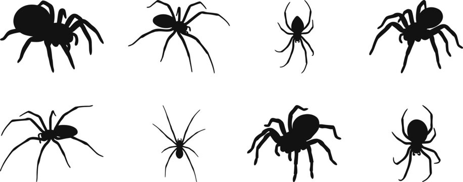 Spider Silhouette SVG Bundle | Creepy Halloween Spider Clipart Collection | Black Arachnid Vector Set | Printable PNG EPS DXF For Cricut, Sublimation, Stickers & DIY Crafts