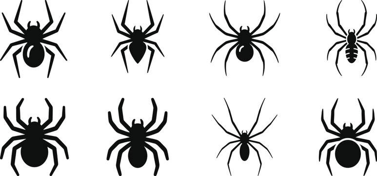 Spider Silhouette Vector Bundle Halloween Spider SVG Clipart Black Arachnid Silhouette Collection Creepy Insect Icons