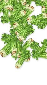 Vertical Animation of Fresh Celery Bunches Falling on White Background