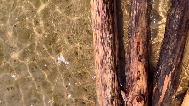 Multiple weathered driftwood logs piled together on a sandy lakeshore washed by waves