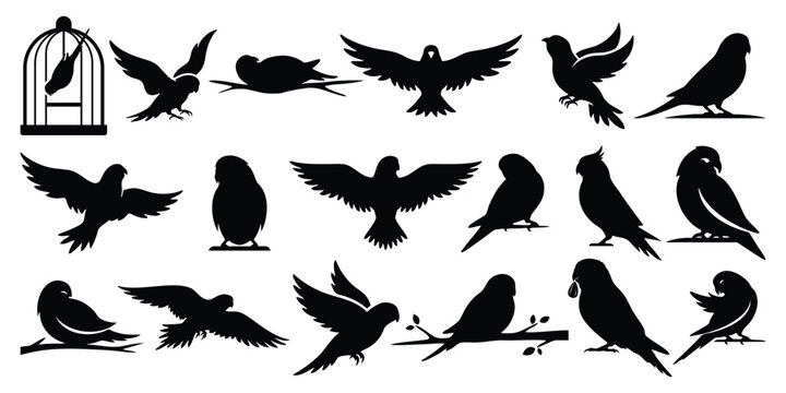 Budgerigar birds Silhouette Vector Set - Cute Budgie Parrot and Cockatiel Clipart