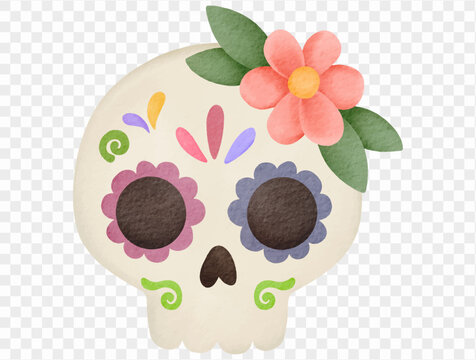 Watercolor floral sugar skull decorative illustration Vector.