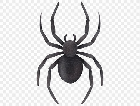 Watercolor black spider isolated illustration Vector.