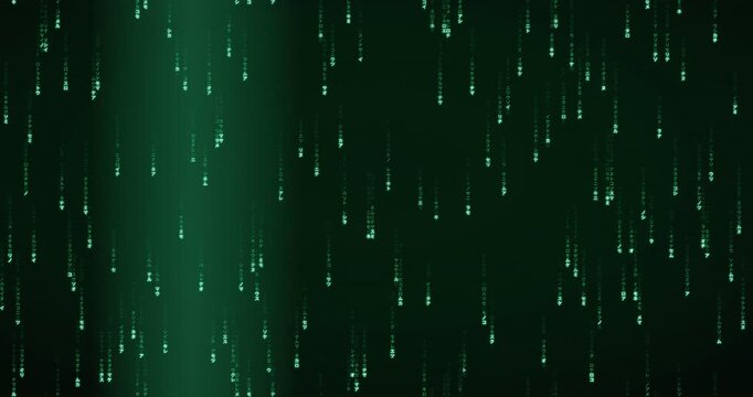 Japanese katakana characters fall steadily in a 4K animation with a phosphor green glow.