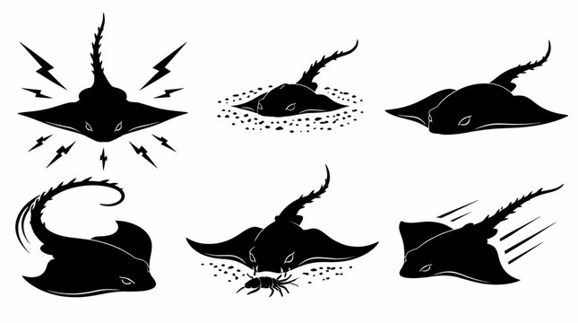 Set of stingray silhouettes in various poses and actions