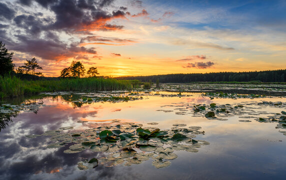 Beautiful summer sunset over the lake