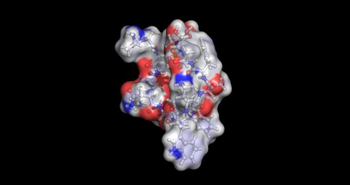 Somatostatin, peptide hormone inhibitor for endocrine and exocrine secretion regulation, 3D molecule spinning, 4K