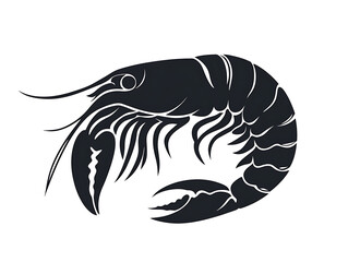 Fototapeta premium Elegant shrimp illustration with detailed lines