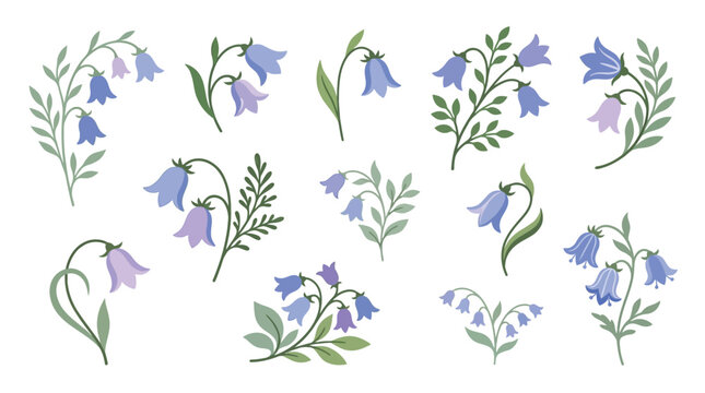 Collection of delicate bluebell flowers and leaves, isolated on white background.