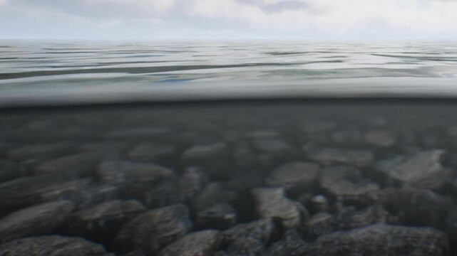 Water covers stones at the bottom by the shore. The surface of the water reflects light. Clouds are visible in the sky above. The scene is calm and quiet.