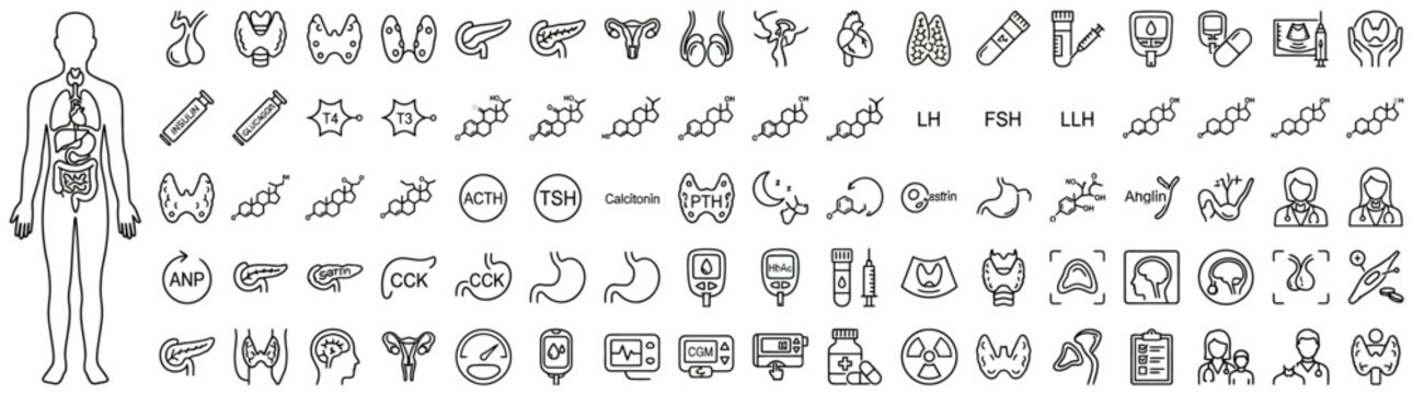 Endocrine System and Hormones Line Icon Set