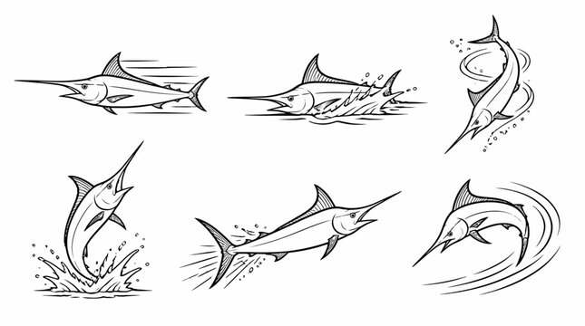 Set of marlin fish illustrations in various dynamic swimming poses