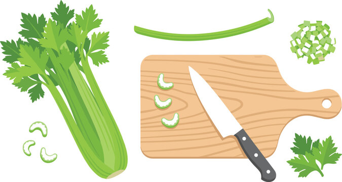 Fresh Celery Cooking and Preparation Vector Element Set with Whole Stalk, Wooden Cutting Board, Kitchen Knife, Slices, Chopped Pieces, and Green Leaves