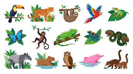 Fototapeta premium Vibrant Flat Vector Illustration Set of Amazon Rainforest Animals for Wildlife and Nature Education