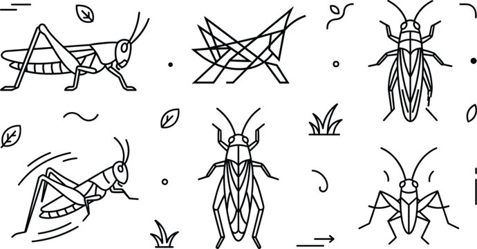 Grasshopper and Locust Insect Line Art Icon Set for Nature and Biology Designs