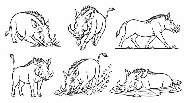 Warthog Set in Various Poses and Actions, Hand-Drawn Illustration