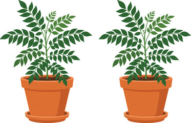 Fototapeta premium Potted Curry Leaf Plant Vector Illustration Set with Fresh Green Murraya Koenigii Shrub in Terracotta Clay Pots for Culinary and Gardening Designs