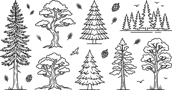 Tree forest pine fir icon set vector illustration line art doodle with nature plant conifer leaf branch landscape