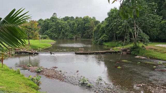 River flowing through the check dam in rural village and forest