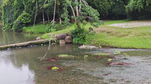 River flowing through the check dam in rural village and forest