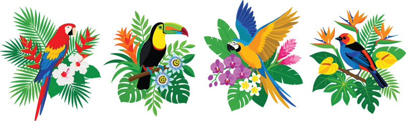 Tropical birds and exotic flowers vector set featuring macaw parrot toucan orchid hibiscus palm leaves jungle floral compositions © Moner