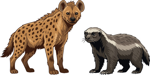 Spotted hyena and honey badger vector illustration isolated on white background wild african safari animals collection for wildlife education graphic design banner © MstBizly