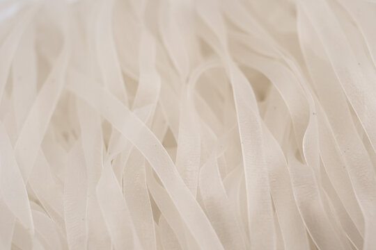 Green bean noodles background texture. Glass noodles pattern surface. Macro shot