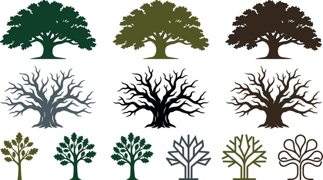 Oak Tree Icon and Silhouette Set Featuring Spreading Canopy Oak Trees, Bare Winter Branches, and Minimalist Geometric Logo Designs for Branding