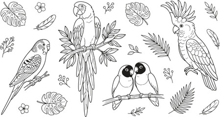 Tropical Parrot Macaw and Cockatoo Bird Botanical Icon Set with Line Art Symbols © MstBabli