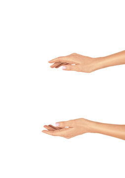 Two well-groomed female hands with classic manicure forming open cupped space for advertising and product placement, isolated on white.
