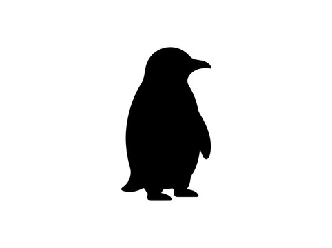 Minimalist black penguin silhouette vector illustration isolated on a plain white background for nature and wildlife design