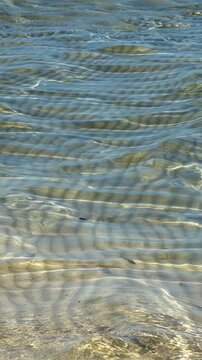 Vertical video of water moving in the blue lagoon of Elafonisi beach with pink sand. Crete. Greece