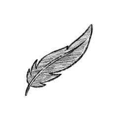 feather pen drawing © Zulfa
