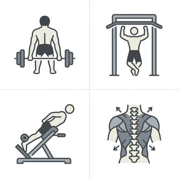 Back exercises with equipment illustrations.