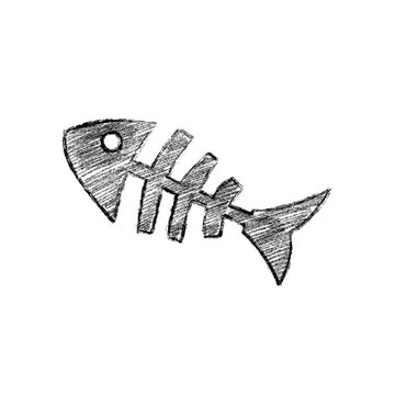 fish bones sketch