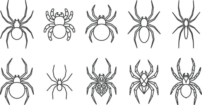 Collection of various spider line art icons isolated on a white background