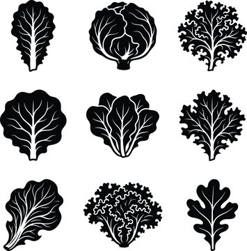 Collection of black leafy green vegetable icons including lettuce kale cabbage and spinach