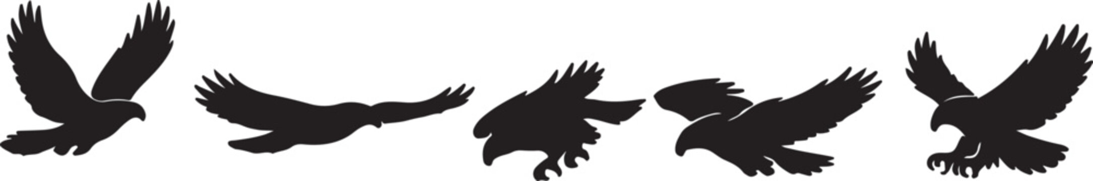Northern Mockingbird silhouette collection vector bird wildlife design.
