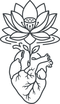 Anatomical heart connected to a lotus flower represents spiritual life wellness.