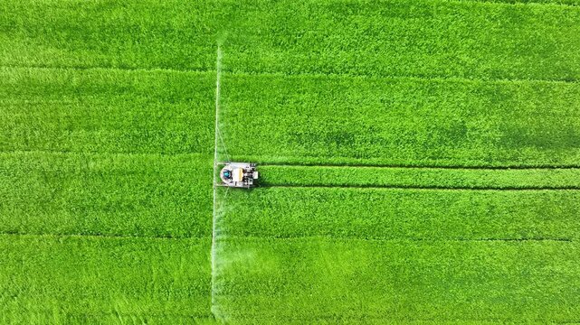 Aerial drone view of a boom sprayer protecting young rice fields with precision application, supporting ESG goals, sustainable agriculture, efficient resource use, and responsible crop production. 4k.