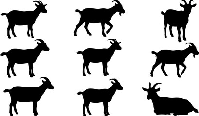 Black silhouette illustration set of goats in various poses including standing, grazing, walking, and lying down © Mukti