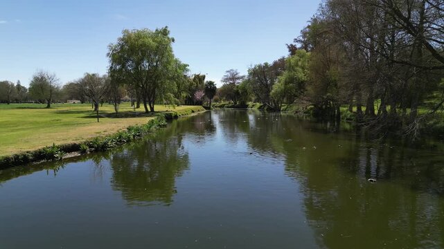 Low aerial view at water level of a calm pond with ducks swimming near the reflection of bare trees in central Mexico.