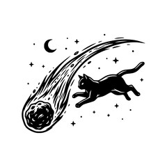 Black Cat Chasing Fiery Meteor Streak Across Starry Night Sky © Padel