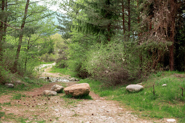 dirt hiking path with large granite boulders © Nataliya